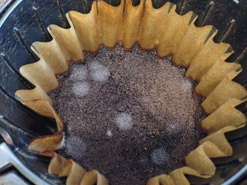 Mold growing in coffee grounds
