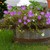 Wood planter with flowers